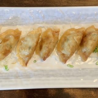 Vegetable Gyoza